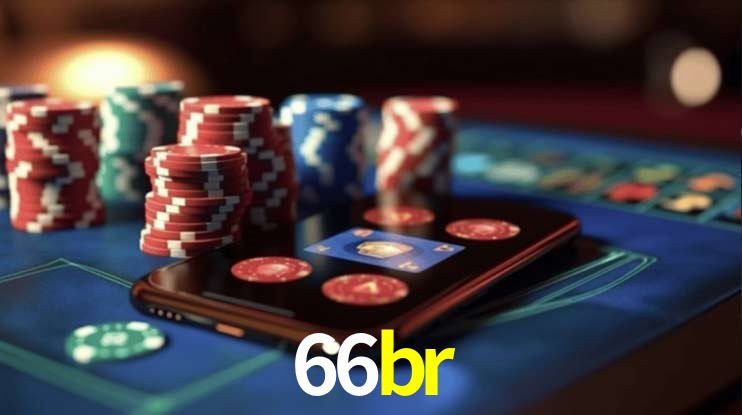 Experiência VIP 66br
